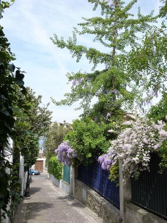 Ook dit is hartje Parijs!